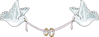Wedding Planner in Agra